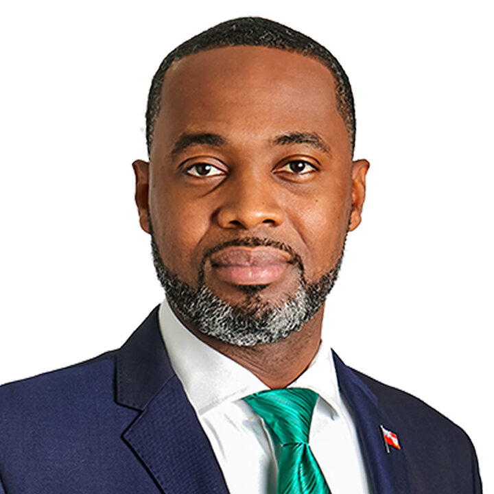 Headshot of The Hon. E. David Burt